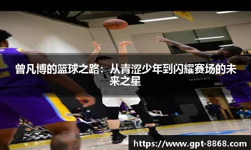 8868体育官网